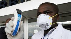 Ebola: tratamentos experimentais são aprovados no combate ao surto