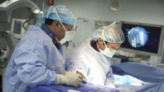 Morte cerebral: parâmetro questionável para o transplante de órgãos