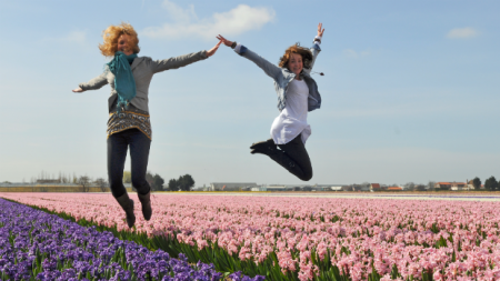 Jardim Keukenhof, na Holanda, abriga paisagismo encantador