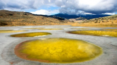 Spotted Lake encanta com piscinas naturais multicoloridas