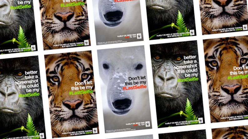 Campanha #lastselfie da WWF contra extinsão da vida selvagem (Reprodução)