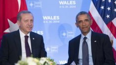 Presidentes dos EUA e Turquia comprometem-se a reforçar luta contra Estado Islâmico