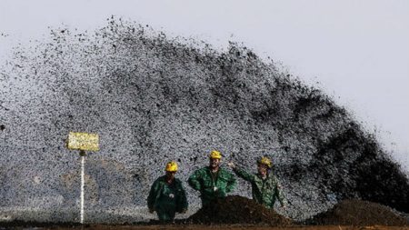 Empresa encontra primeira grande reserva de petróleo no Paraguai