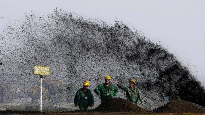 Já foram identificados cerca de 50 poços de petróleo no Paraguai, a maioria na região do Chaco (Reprodução)