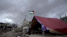Chefe da ONU anuncia investigação independente sobre guerra na Faixa de Gaza