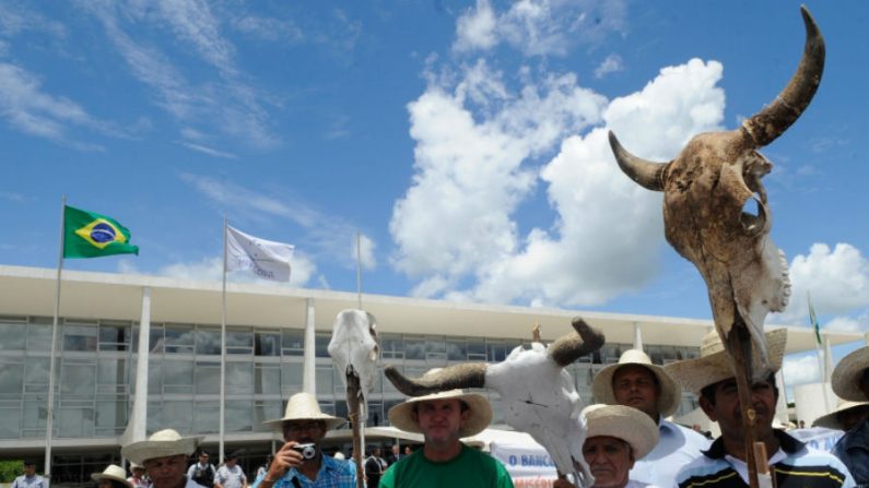 Produtores rurais nordestinos protestam em frente ao Palácio do Planalto e pedem perdão de dívidas com o Banco do Nordeste, em 4 de dezembro de 2012 (Wilson Dias/ABr)