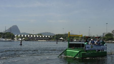 Comlurb já recolheu 20 toneladas de peixes mortos da Baía de Guanabara