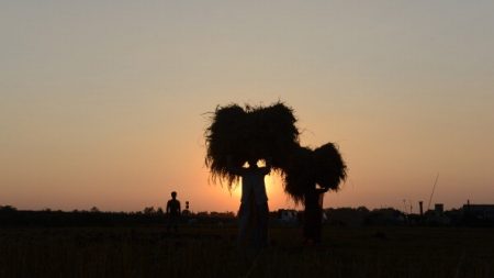 Agricultor vietnamita afirma que não dorme há 35 anos