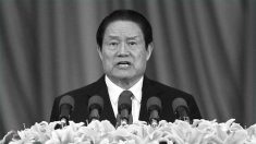 Revelados os crimes e enorme fortuna ilícita do ex-chefe da segurança da China