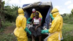 Ebola: OMS retifica de 7 mil para 6 mil o número de vítimas mortais