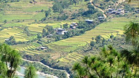 Butão: cultivo orgânico e saúde socio-ambiental