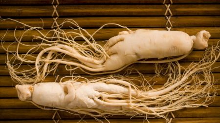 Conheça mais sobre o Ginseng: uma excelente erva preventiva