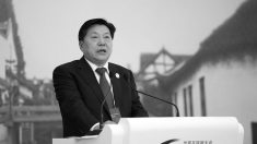 Chefe da propaganda da China agora controla seu navegador de internet