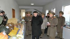 China usa Coreia do Norte para propósitos diversos