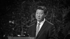 Líder chinês avisa sobre tolerância zero para divisionismo no Partido Comunista