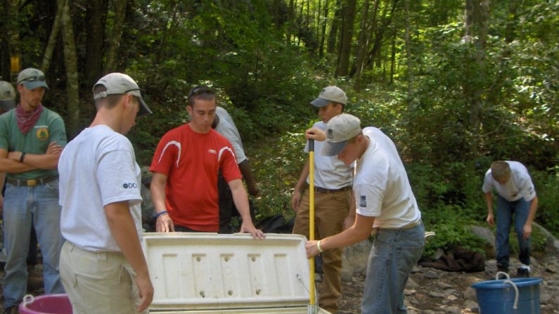 Estudos ambientais exigem seriedade e reprodução fidedigna dos resultados obtidos (vastateparksstaff/Wikimedia Commons)
