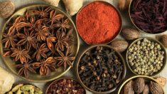 Sabor e saúde: a arte de usar especiarias com fim medicinal