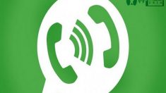 Aprenda a fazer chamadas telefônicas gratuitas pelo WhatsApp