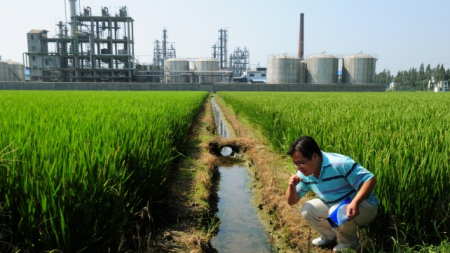 Confissão de funcionário mostra situação de Agência Ambiental da China