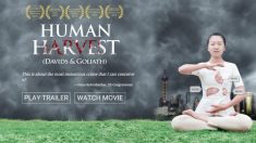 Filme “Colheita Humana” ganha o prestigioso Prêmio Peabody