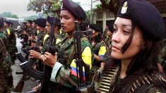 FARC realizam até mil abortos forçados por ano, apontam investigações