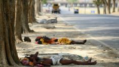 Onda de calor na Índia mata 800 pessoas