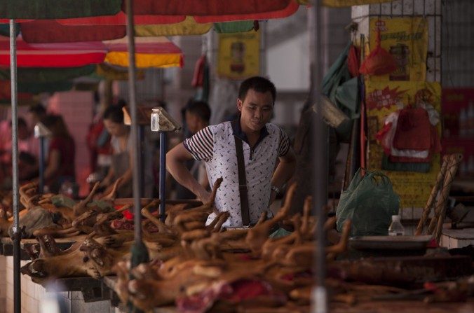 Fotografia tirada no dia 17 de junho de 2015 mostra carne de cão à venda em um mercado de Yulin, na província de Guangxi, na China (STR/AFP/Getty Images) 