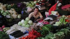 Crise de segurança alimentar na China é culpa do regime comunista