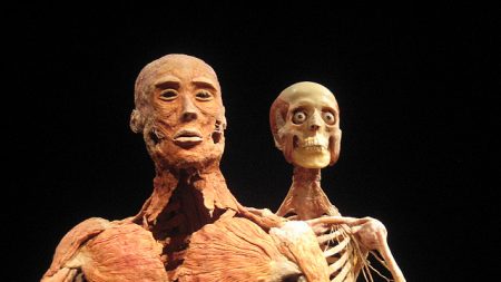 O segredo obscuro das exposições de corpos plastinados