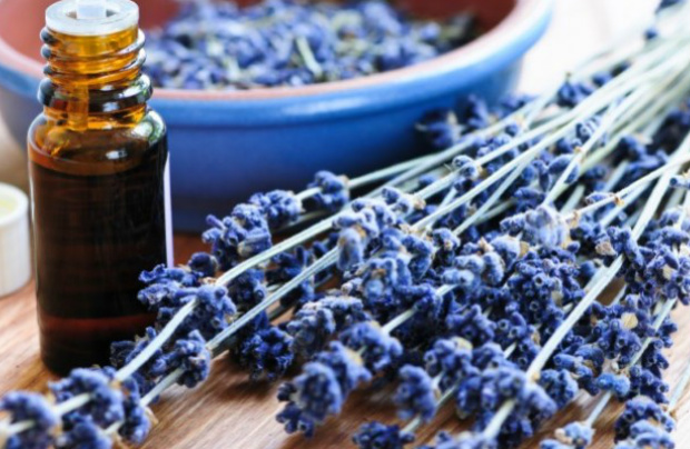 Óleo de lavanda pode aliviar a dor através do cheiro (Elenathewise/iStock)