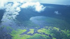 Amazônia Azul: um tesouro nas águas do Atlântico
