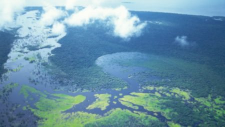 Amazônia Azul: um tesouro nas águas do Atlântico