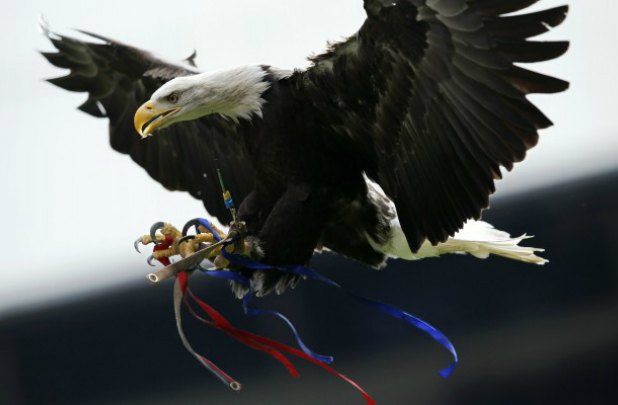 Vídeo mostra uma águia voando em direção a um drone e, em seguida, agarrando-o e colocando-o em uma base (ADRIAN DENNIS/AFP/Getty Images)