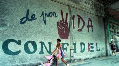 “Não se esqueçam da tirania de Cuba,” dizem ativistas cubanos de direitos humanos