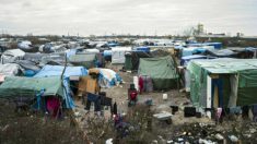 França e Reino Unido iniciam obras de muro para barrar refugiados