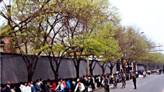 Perseguição ao Falun Gong na China enfraquece 18 anos após apelo decisivo
