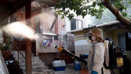 Relação entre zika e defeitos congênitos foi muito exagerada, dizem pesquisadores