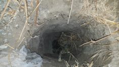 Descoberto túnel para tráfico humano na fronteira EUA-México