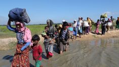 Bangladesh e Birmânia discutem repatriação dos refugiados rohingya