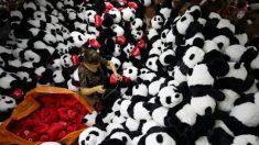 Internautas chineses concordam com baixa qualidade do ‘Made in China’, indica pesquisa