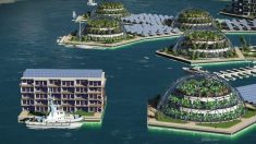 Primeira cidade flutuante do mundo será erguida no Oceano Pacífico em 2020