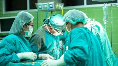 Pesquisa de transplante de cabeça na China levanta questões preocupantes