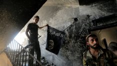 Menos de mil terroristas do Estado Islâmico restam no Iraque e Síria, diz coalizão