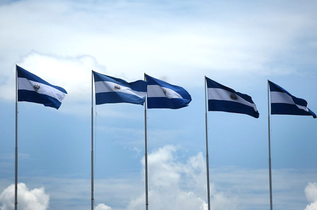 Bandeiras nacionais de El Salvador são vista durante a comemoração do 194º aniversário de independência da nação centro-americana, na capital de São Salvador, em 15 de setembro de 2015 (Marvin Recinos/AFP/Getty Images)