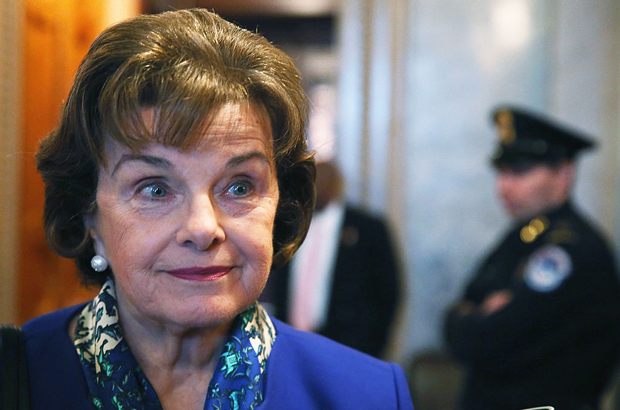 A senadora Dianne Feinstein (D-Calif.) fala com repórteres após terminar seu discurso no Senado em 11 de março de 2014 (Mark Wilson/Getty Images)