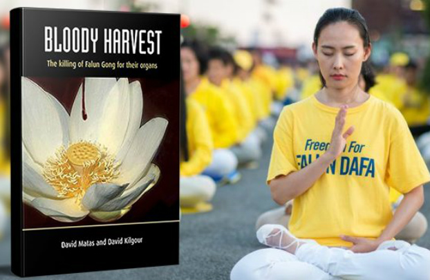 Colheita sangrenta: relatório denuncia assassinato de praticantes do Falun Gong
