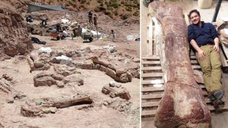 Encontram na Argentina maior dos dinossauros: dez vezes tamanho do Rex