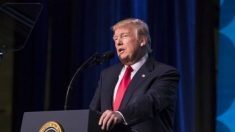 Trump nega ter usado palavras rudes em conversa sobre imigração e critica acordo sobre “DACA”