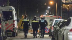 Polícia da Holanda alerta que “país tornou-se um narco-Estado”