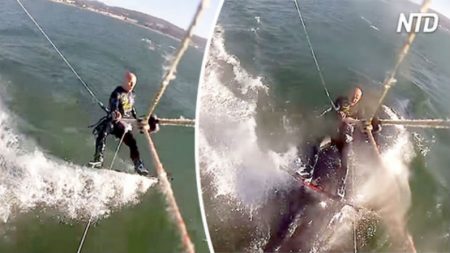 Kiteboarder surfa em cima de baleia jubarte em plena Califórnia